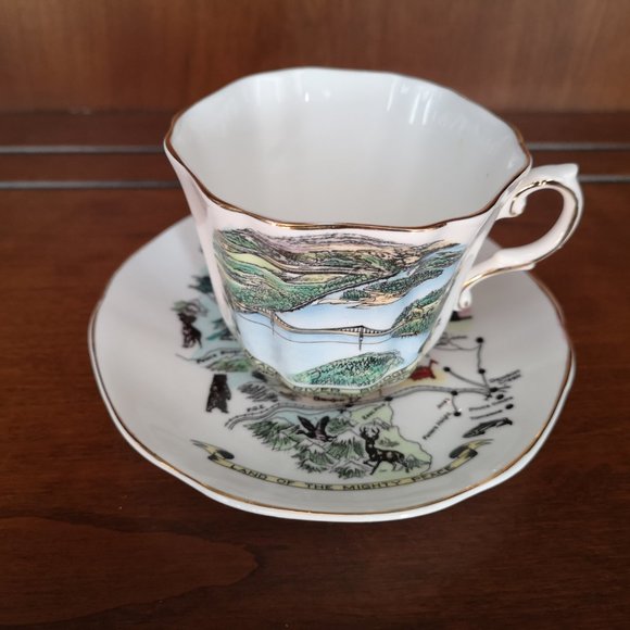 Royal Consort and Royal Darwood Canada related cup&saucer - Picture 2 of 10